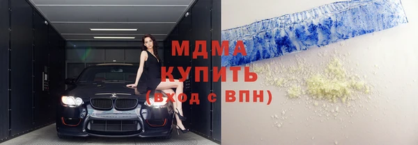 хмурый Арсеньев
