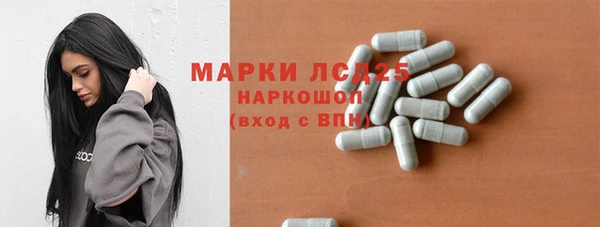 хмурый Арсеньев