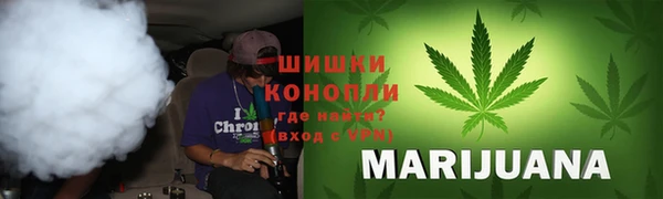 хмурый Арсеньев