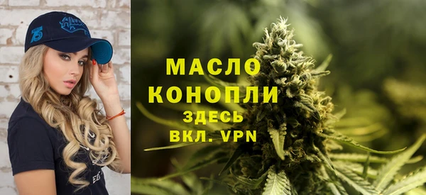 хмурый Арсеньев